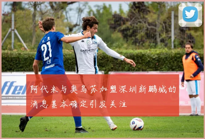 阿代米与奥乌苏加盟深圳新鹏城的消息基本确定引发关注