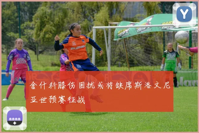 舍什科膝伤困扰或将缺席斯洛文尼亚世预赛征战