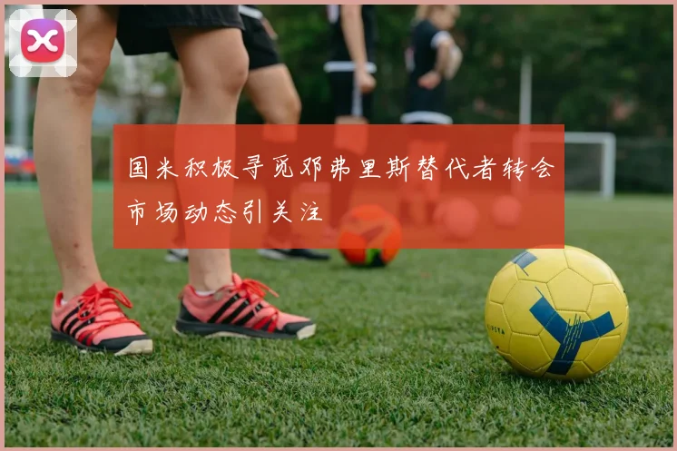 国米积极寻觅邓弗里斯替代者转会市场动态引关注