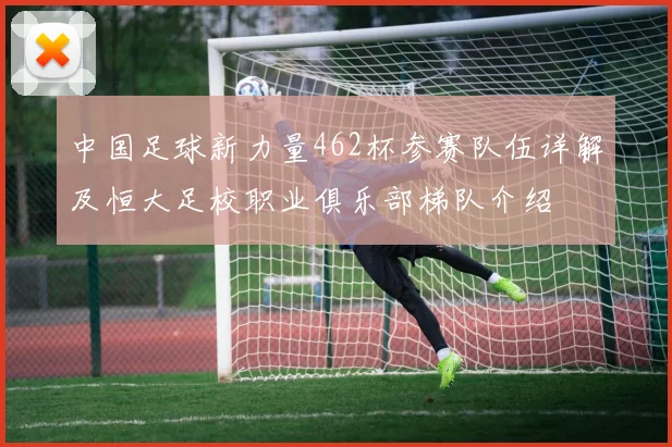 中国足球新力量462杯参赛队伍详解及恒大足校职业俱乐部梯队介绍